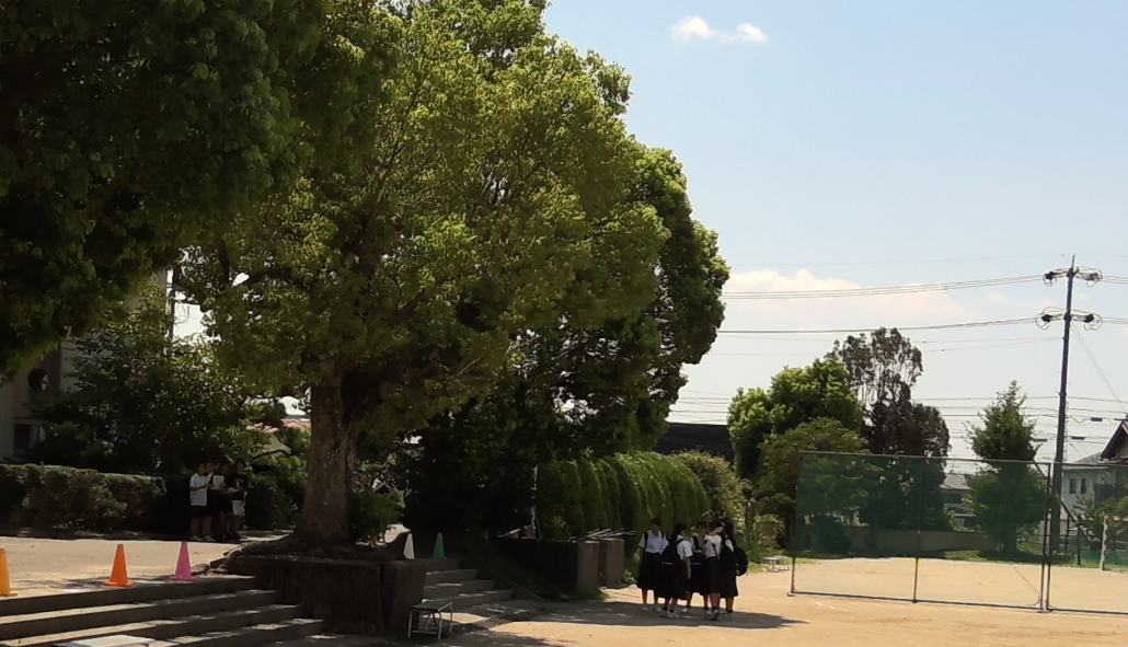 一宮南_学校見学会_校内見学 (4)